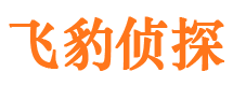 南江侦探公司